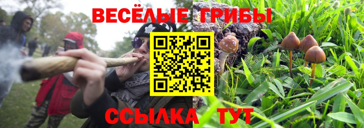 Галлюциногенные грибы Magic Shrooms  Псилоцибиновые грибы ЛСД  Вход с VPN  Заводоуковск 