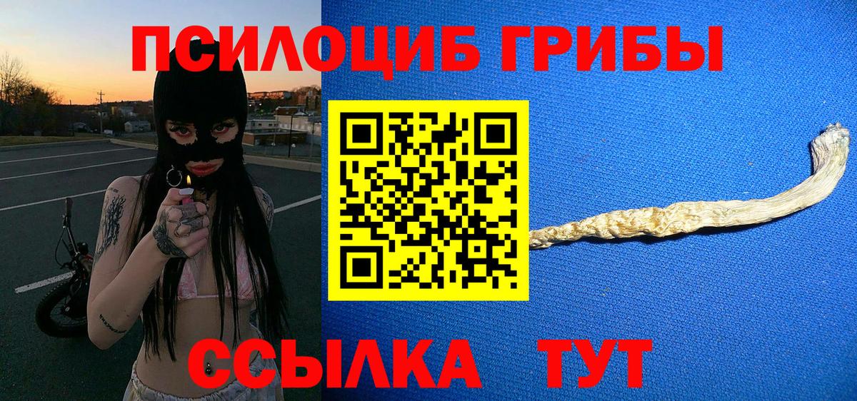 Галлюциногенные грибы MAGIC MUSHROOMS Заводоуковск